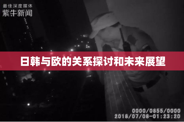 日韩与欧的关系探讨和未来展望