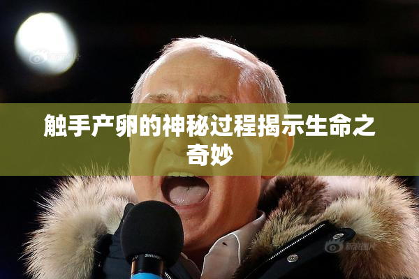 触手产卵的神秘过程揭示生命之奇妙