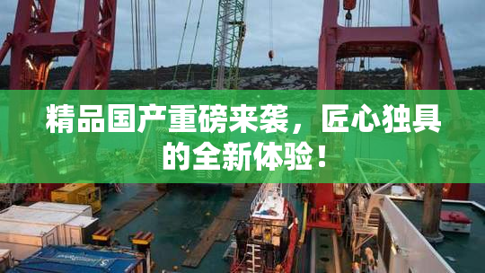 精品国产重磅来袭，匠心独具的全新体验！