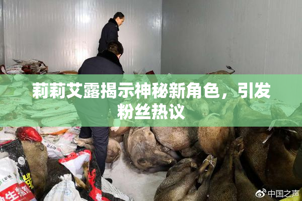 莉莉艾露揭示神秘新角色，引发粉丝热议