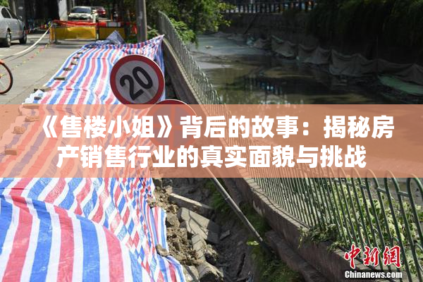 《售楼小姐》背后的故事：揭秘房产销售行业的真实面貌与挑战