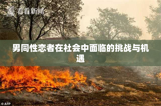 男同性恋者在社会中面临的挑战与机遇