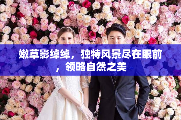 嫩草影绰绰，独特风景尽在眼前，领略自然之美