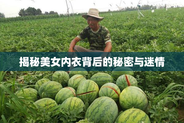 揭秘美女内衣背后的秘密与迷情