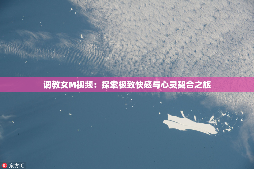 调教女M视频：探索极致快感与心灵契合之旅