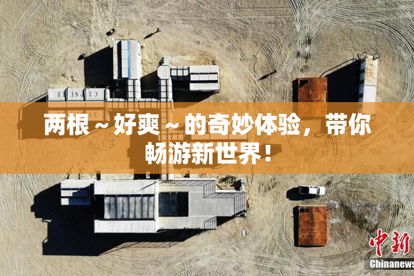 两根～好爽～的奇妙体验，带你畅游新世界！