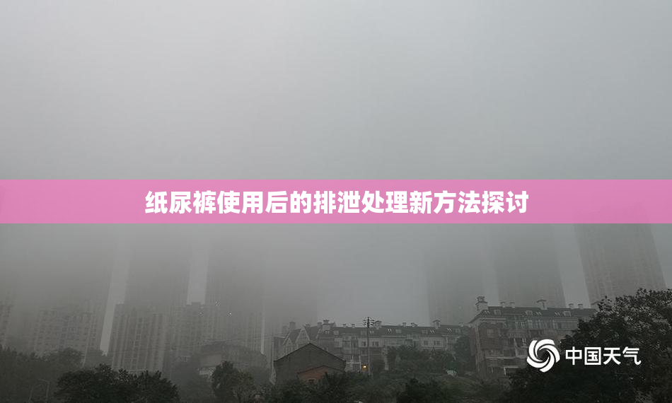 纸尿裤使用后的排泄处理新方法探讨
