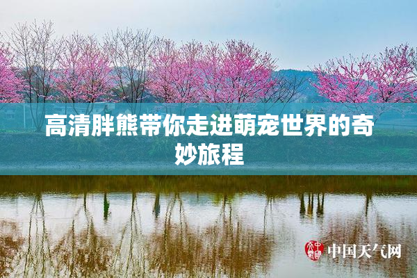 高清胖熊带你走进萌宠世界的奇妙旅程