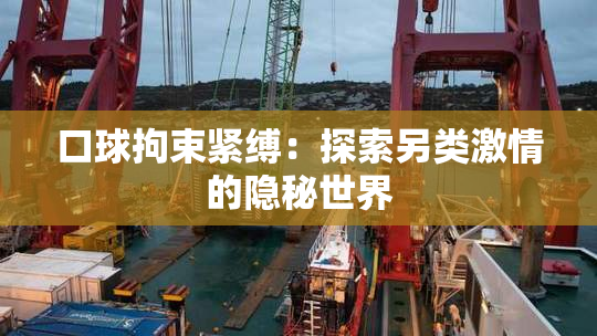 口球拘束紧缚：探索另类激情的隐秘世界