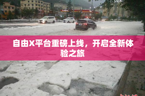 自由X平台重磅上线，开启全新体验之旅
