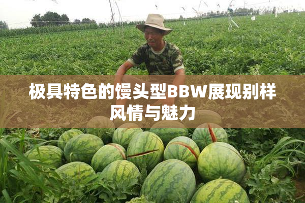 极具特色的馒头型BBW展现别样风情与魅力