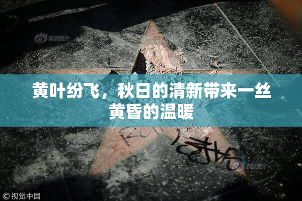 黄叶纷飞，秋日的清新带来一丝黄昏的温暖