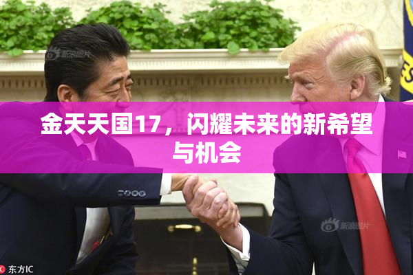 金天天国17，闪耀未来的新希望与机会