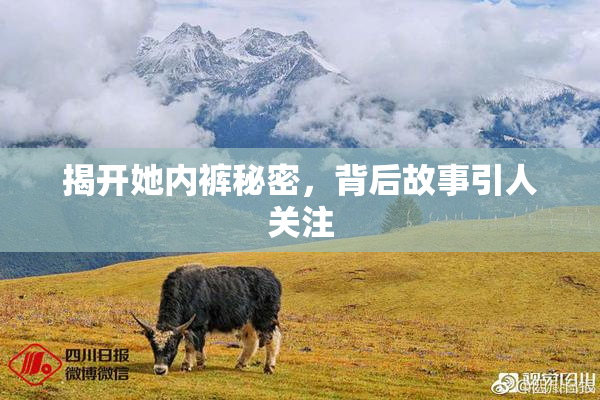 揭开她内裤秘密，背后故事引人关注