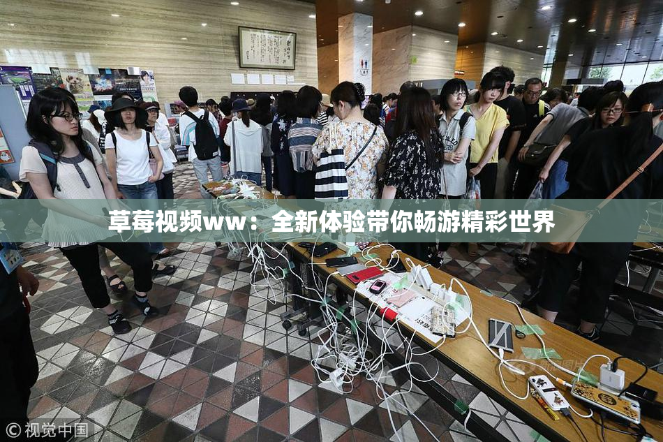 草莓视频ww：全新体验带你畅游精彩世界