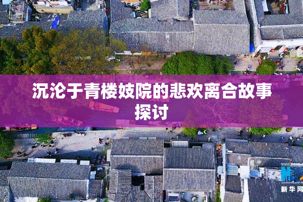 沉沦于青楼妓院的悲欢离合故事探讨