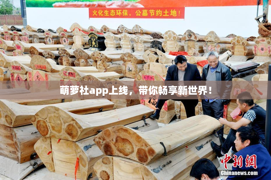 萌萝社app上线，带你畅享新世界！