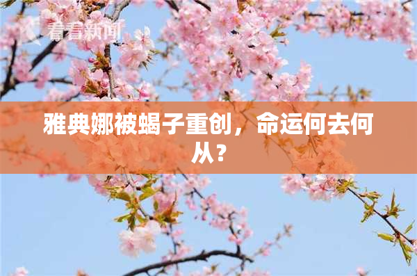 雅典娜被蝎子重创，命运何去何从？