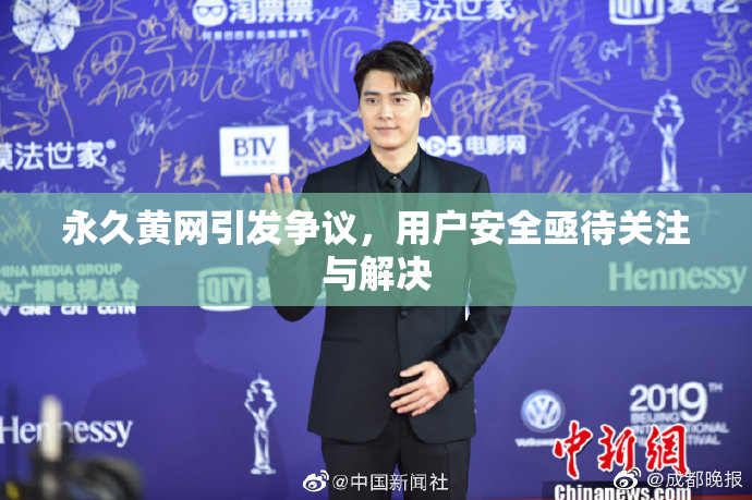 永久黄网引发争议，用户安全亟待关注与解决