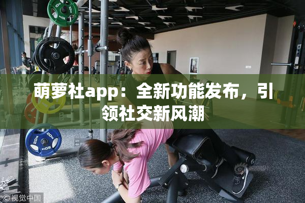 萌萝社app：全新功能发布，引领社交新风潮