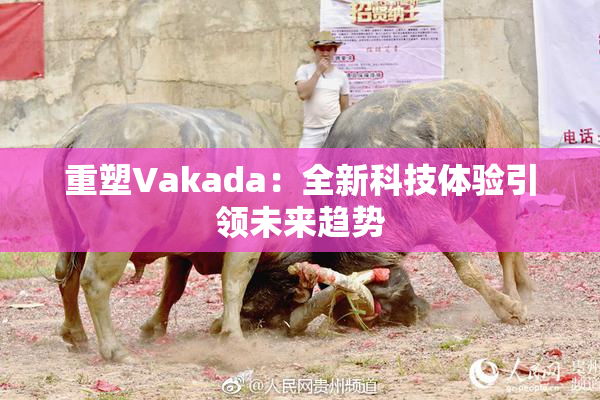 重塑Vakada：全新科技体验引领未来趋势
