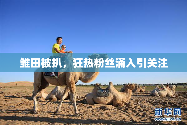 雏田被扒，狂热粉丝涌入引关注