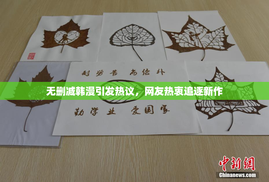 无删减韩漫引发热议，网友热衷追逐新作