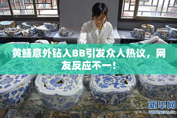 黄鳝意外钻入BB引发众人热议，网友反应不一！