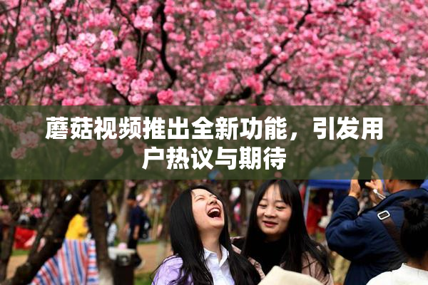 蘑菇视频推出全新功能，引发用户热议与期待