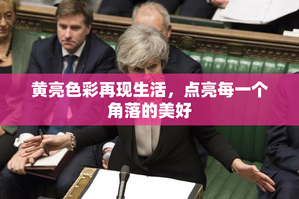 黄亮色彩再现生活，点亮每一个角落的美好