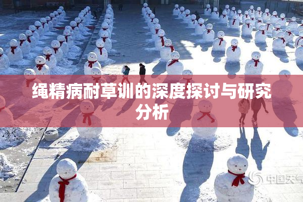 绳精病耐草训的深度探讨与研究分析