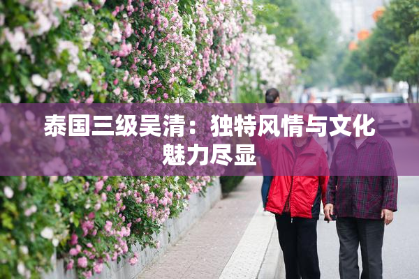 泰国三级吴清：独特风情与文化魅力尽显