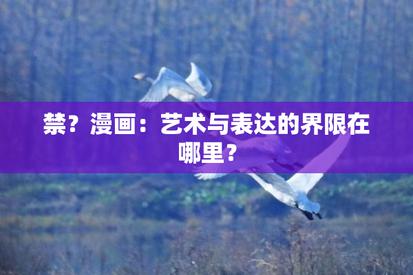 禁？漫画：艺术与表达的界限在哪里？