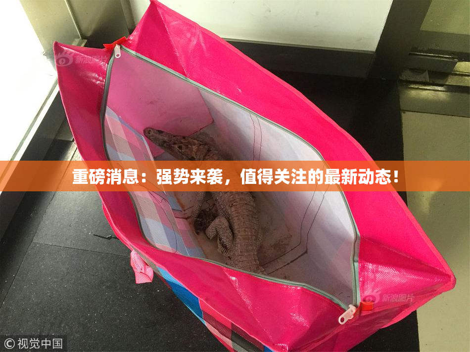 重磅消息：强势来袭，值得关注的最新动态！