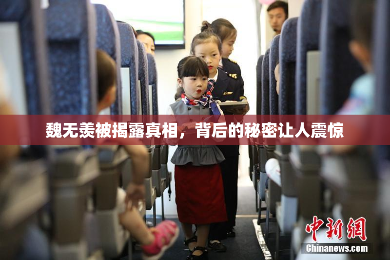 魏无羡被揭露真相，背后的秘密让人震惊