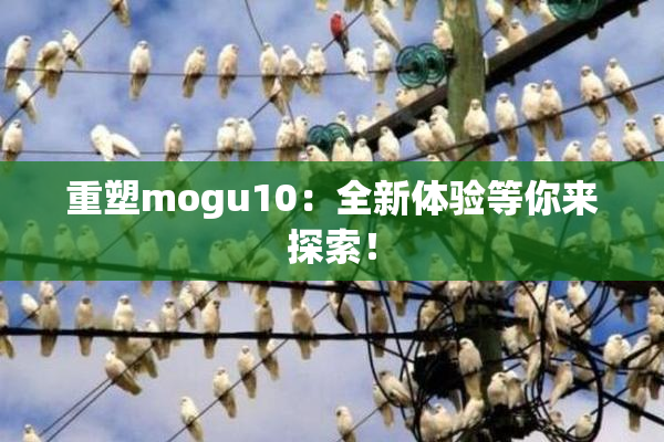 重塑mogu10：全新体验等你来探索！