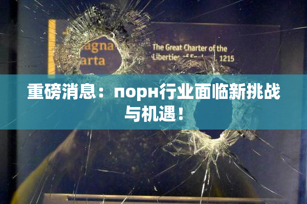 重磅消息：порн行业面临新挑战与机遇！