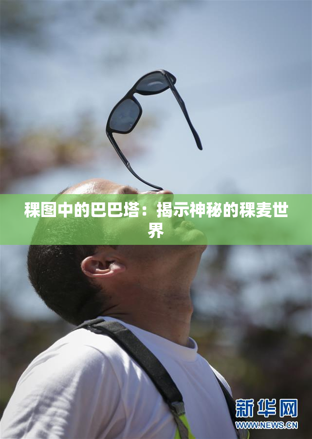 稞图中的巴巴塔：揭示神秘的稞麦世界