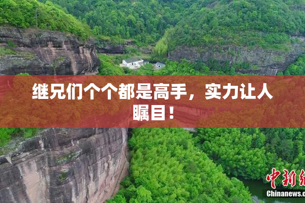 继兄们个个都是高手，实力让人瞩目！