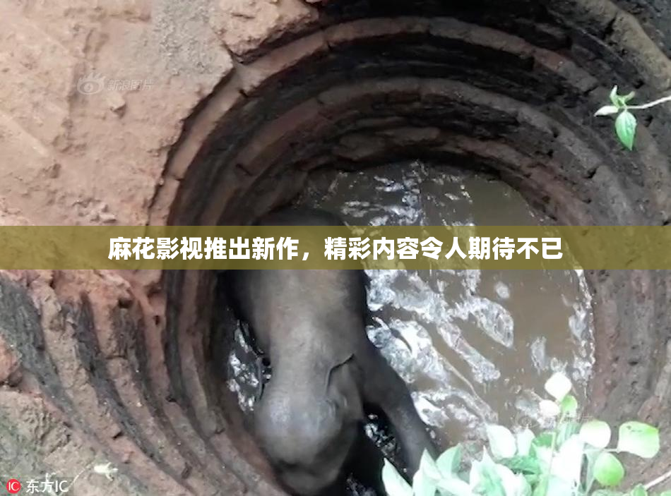 麻花影视推出新作，精彩内容令人期待不已