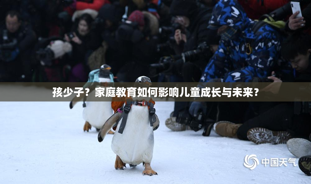 孩少子？家庭教育如何影响儿童成长与未来？