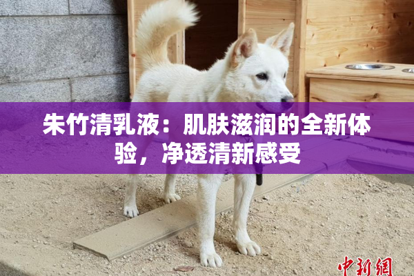 朱竹清乳液：肌肤滋润的全新体验，净透清新感受