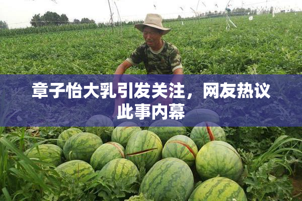 章子怡大乳引发关注，网友热议此事内幕