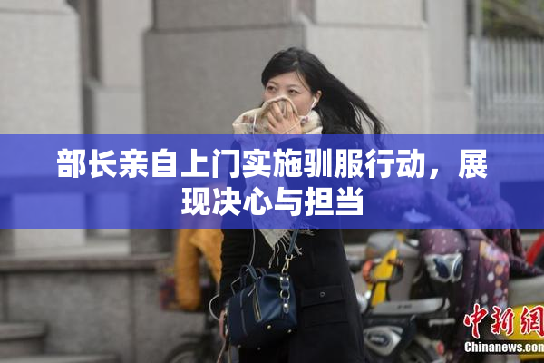 部长亲自上门实施驯服行动，展现决心与担当