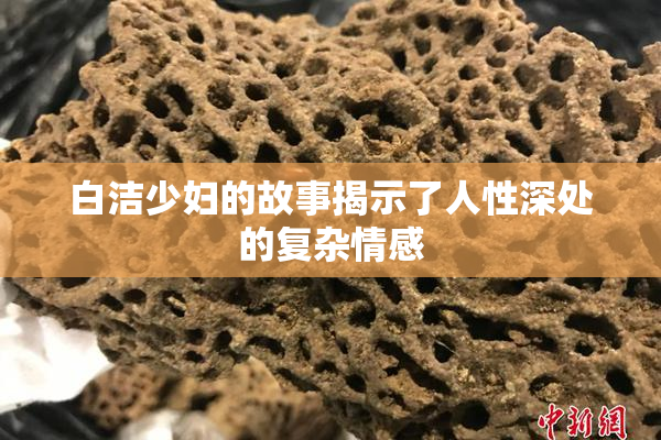 白洁少妇的故事揭示了人性深处的复杂情感