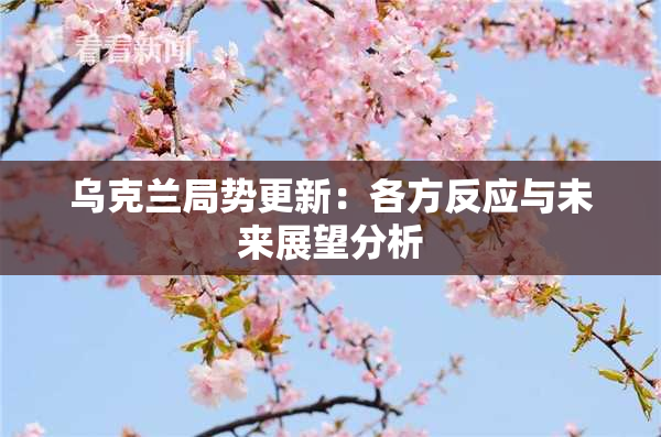 乌克兰局势更新：各方反应与未来展望分析