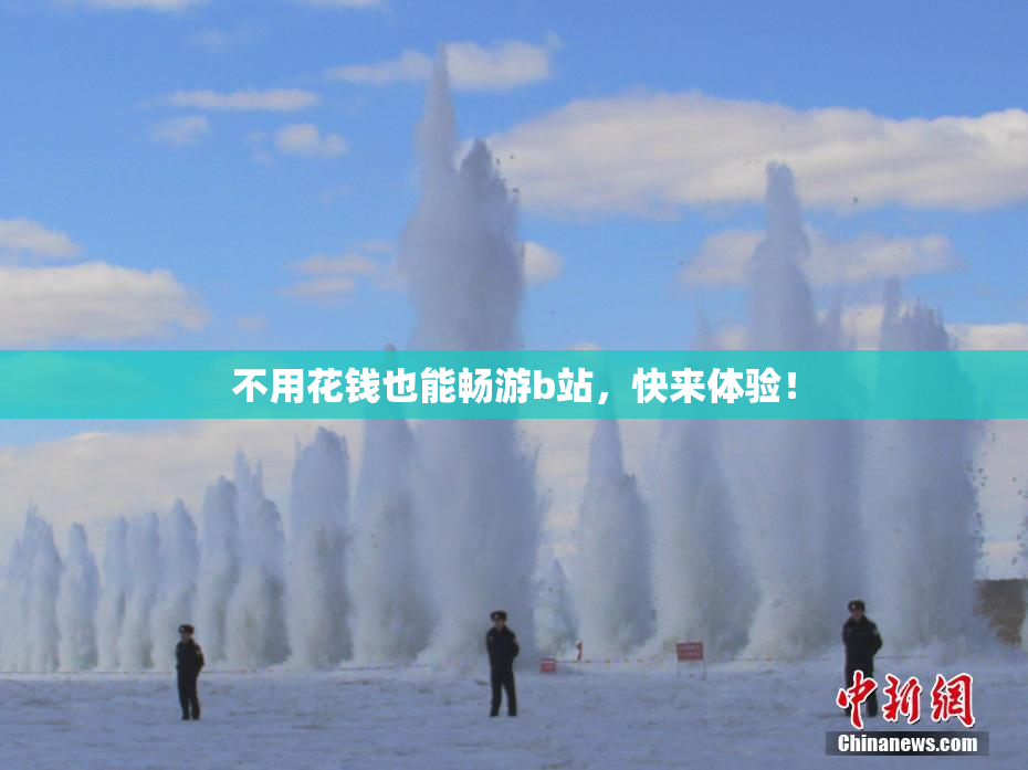不用花钱也能畅游b站，快来体验！