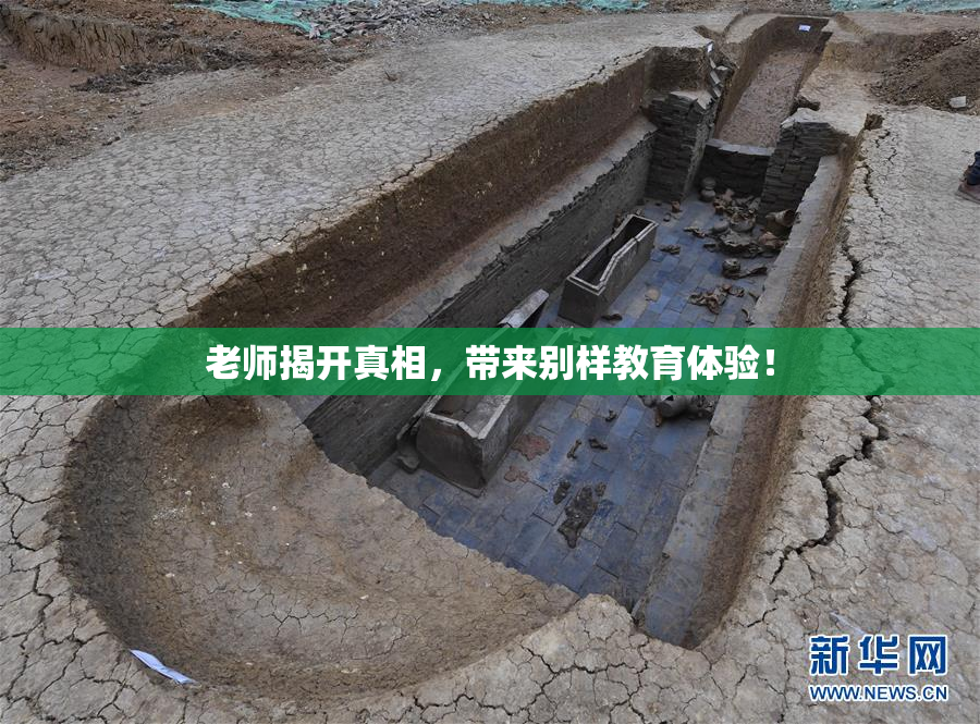 老师揭开真相，带来别样教育体验！