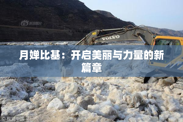 月婵比基：开启美丽与力量的新篇章