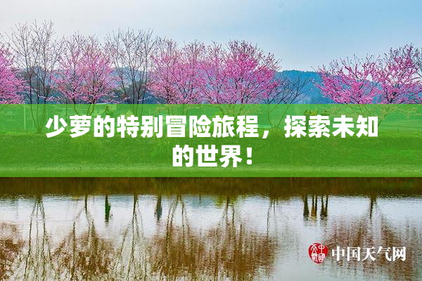 少萝的特别冒险旅程，探索未知的世界！